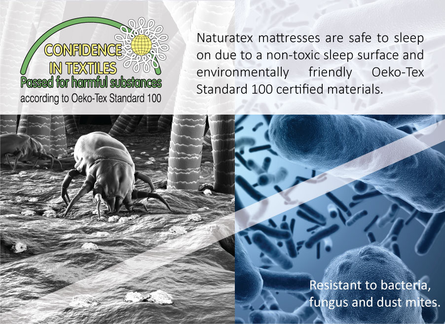 anti-bacteria-dustmite