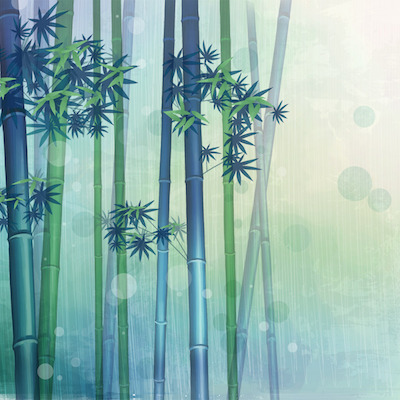 Bamboo in Chinese drawing